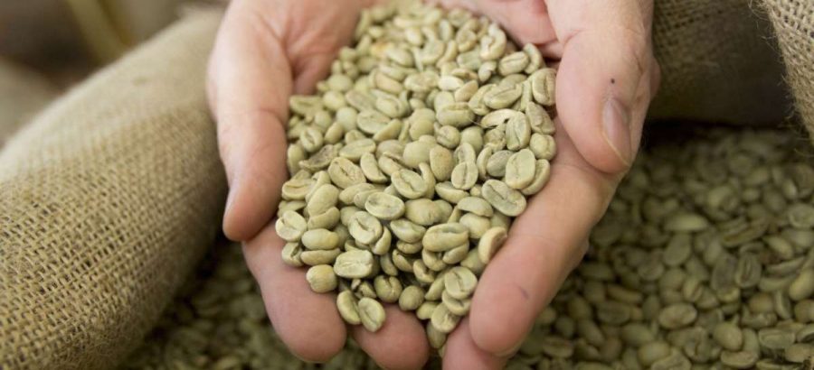 Caffè verde proprietà e benefici
