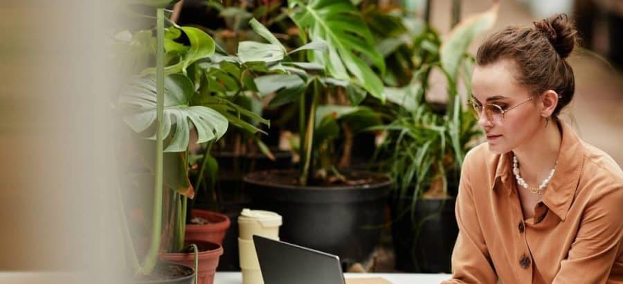 connessione internet lenta