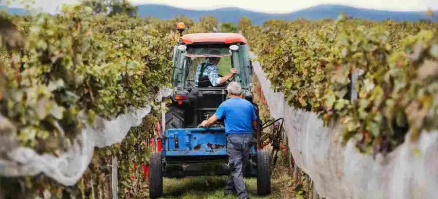 sovraindebitamento imprenditore agricolo