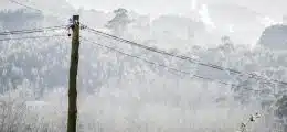 Palo Telecom pericolante